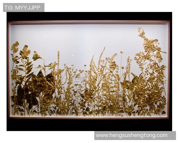 加莱诺：探索艺术与生活交融的奇妙旅程与启示